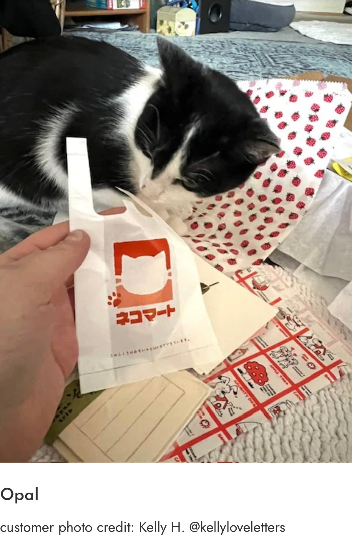 Photo_Sep_25_2025_7_19_44_PM