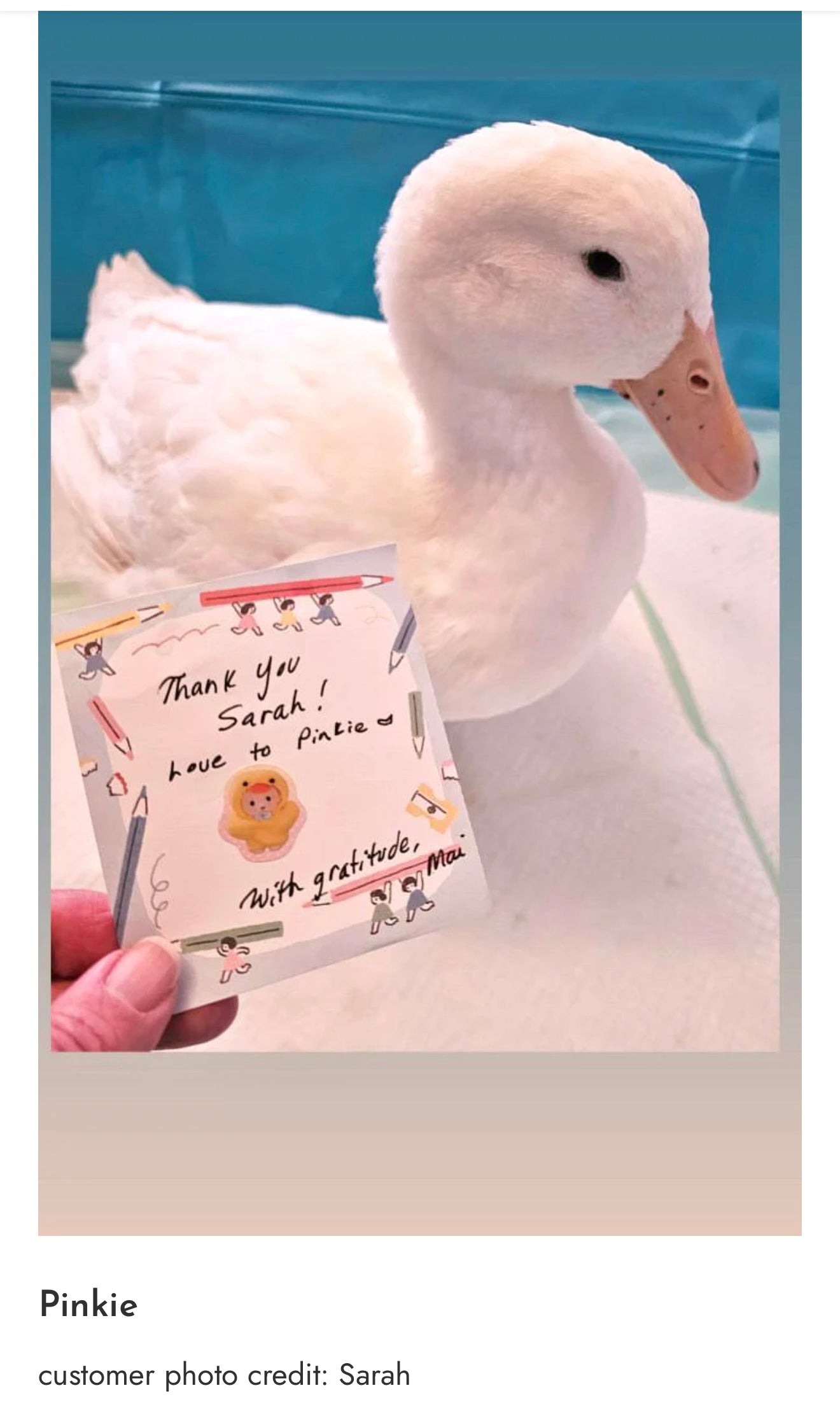 Photo_Sep_25_2025_7_25_48_PM