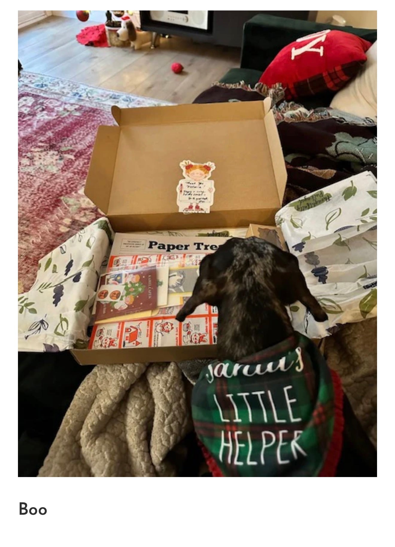 Photo_Sep_25_2025_7_26_15_PM