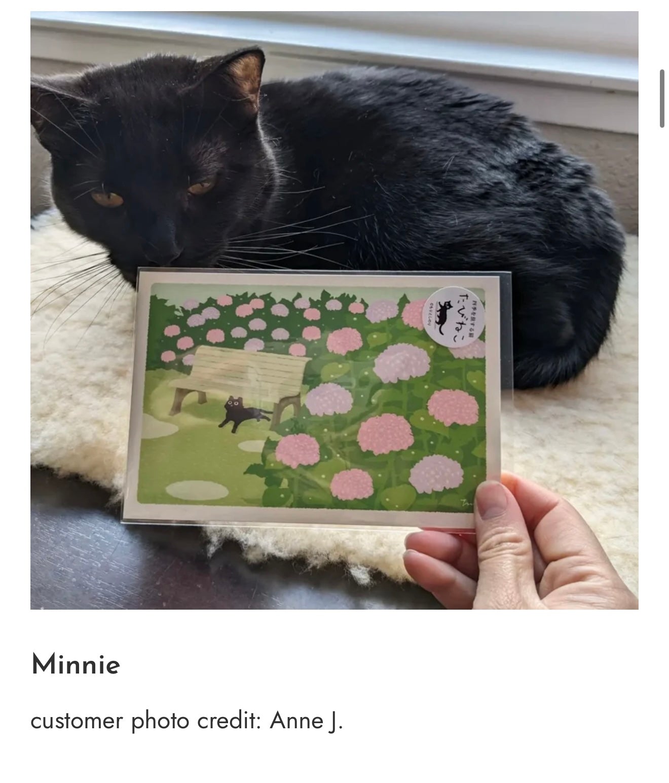 Photo_Sep_25_2025_7_26_31_PM