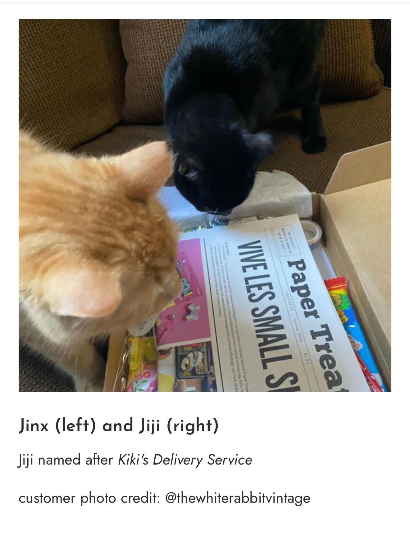 Photo_Sep_25_2025_7_27_06_PM