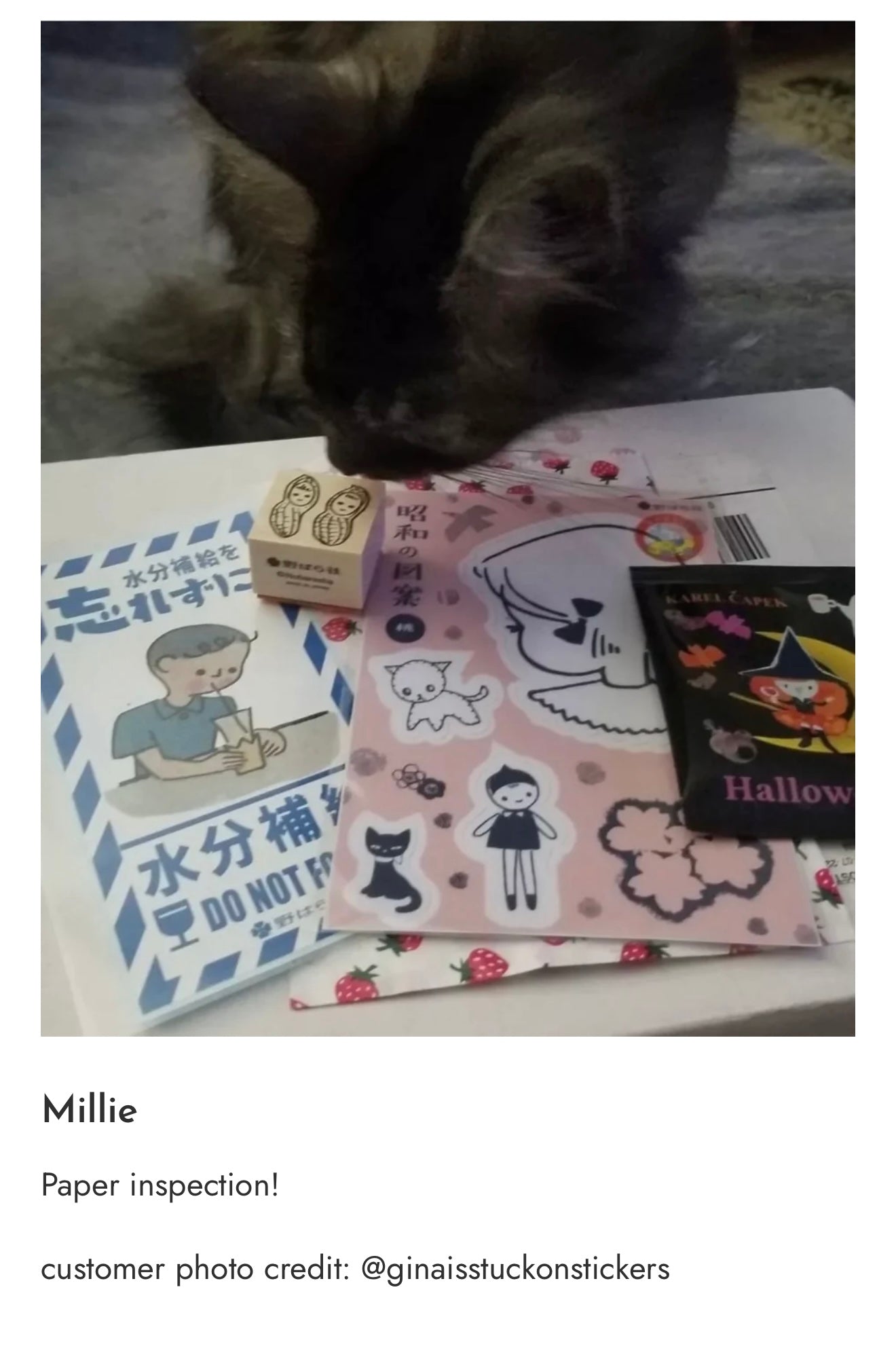 Photo_Sep_25_2025_7_27_14_PM