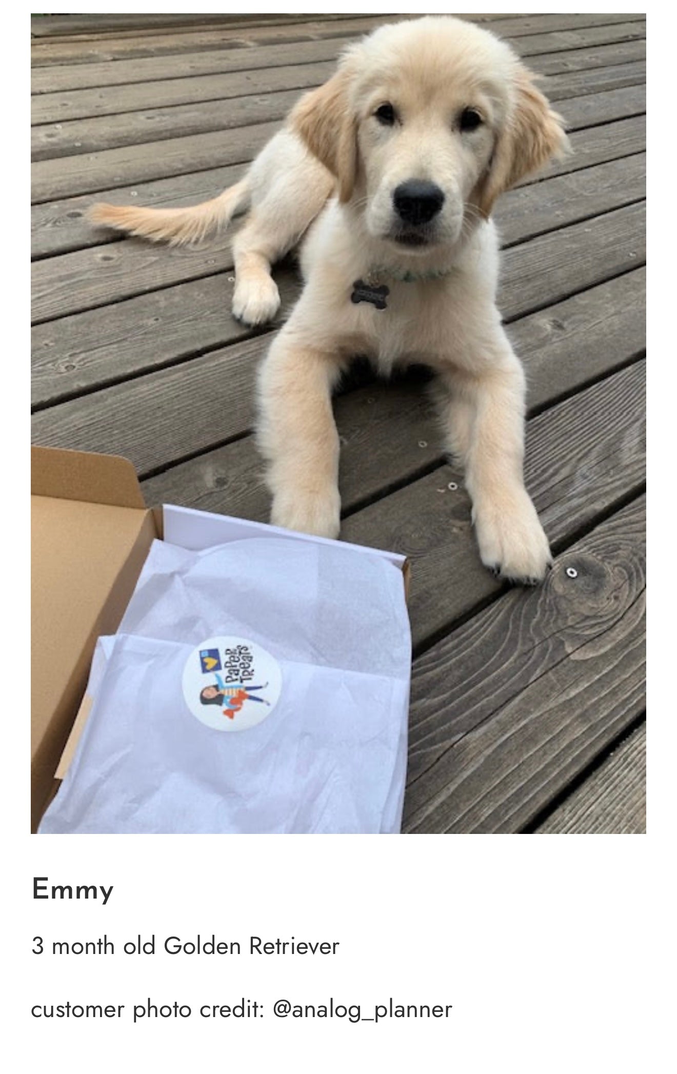 Photo_Sep_25_2025_7_27_22_PM