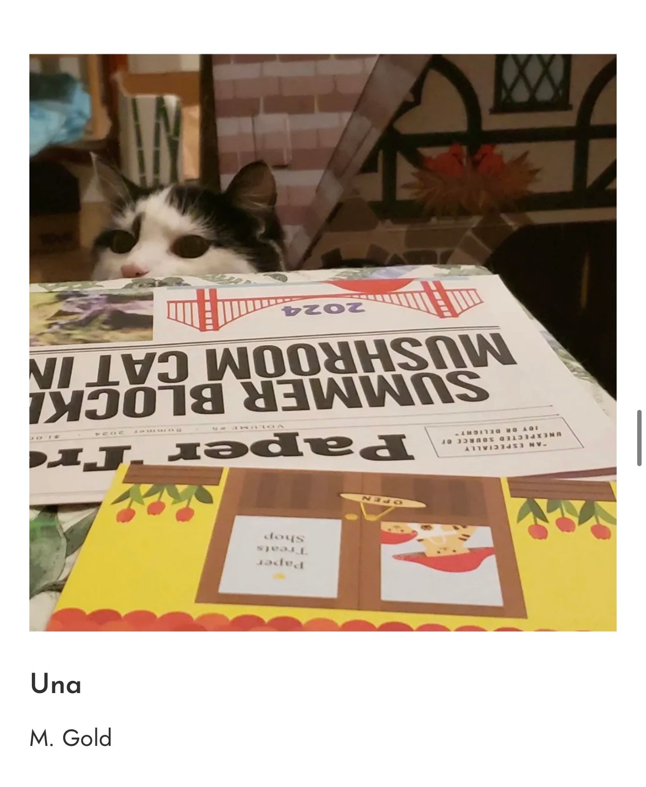 Photo_Sep_25_2025_7_27_47_PM