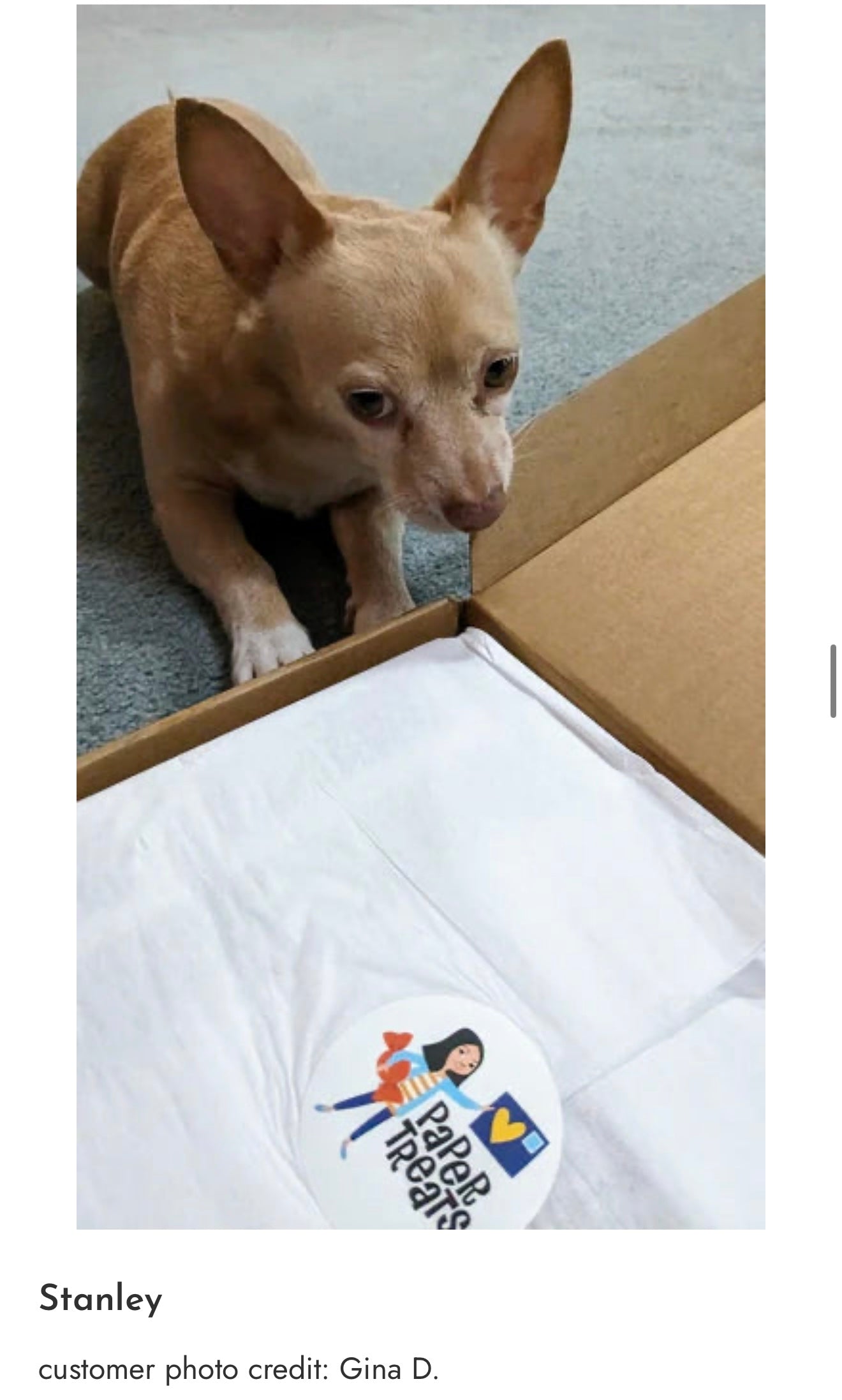 Photo_Sep_25_2025_7_28_01_PM