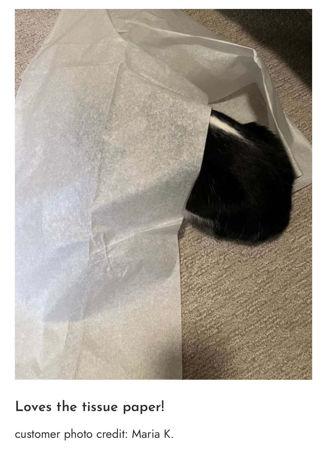 Photo_Sep_25_2025_7_28_30_PM