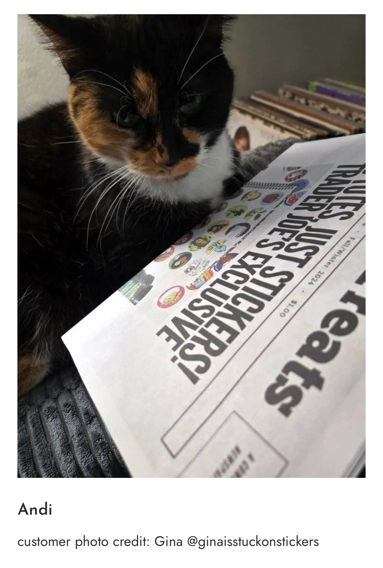 Photo_Sep_25_2025_7_29_02_PM