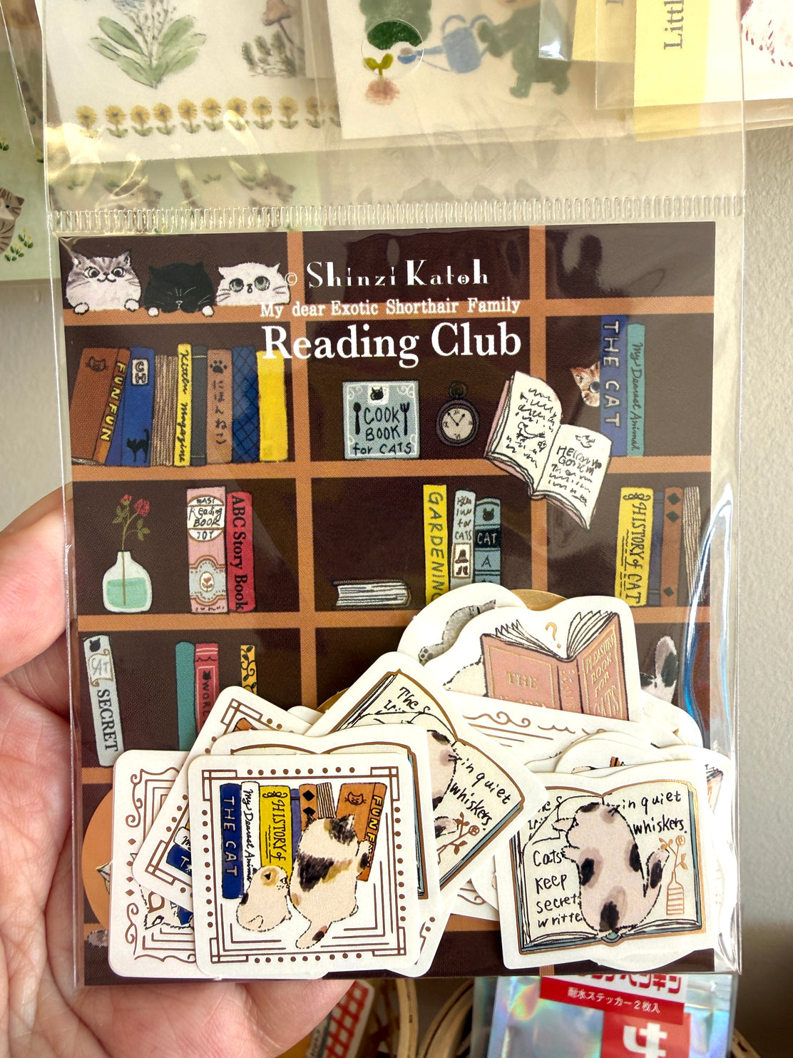 [SEAL-DO] Shinzi Katoh x Reading Club Kira Pika flake stickers