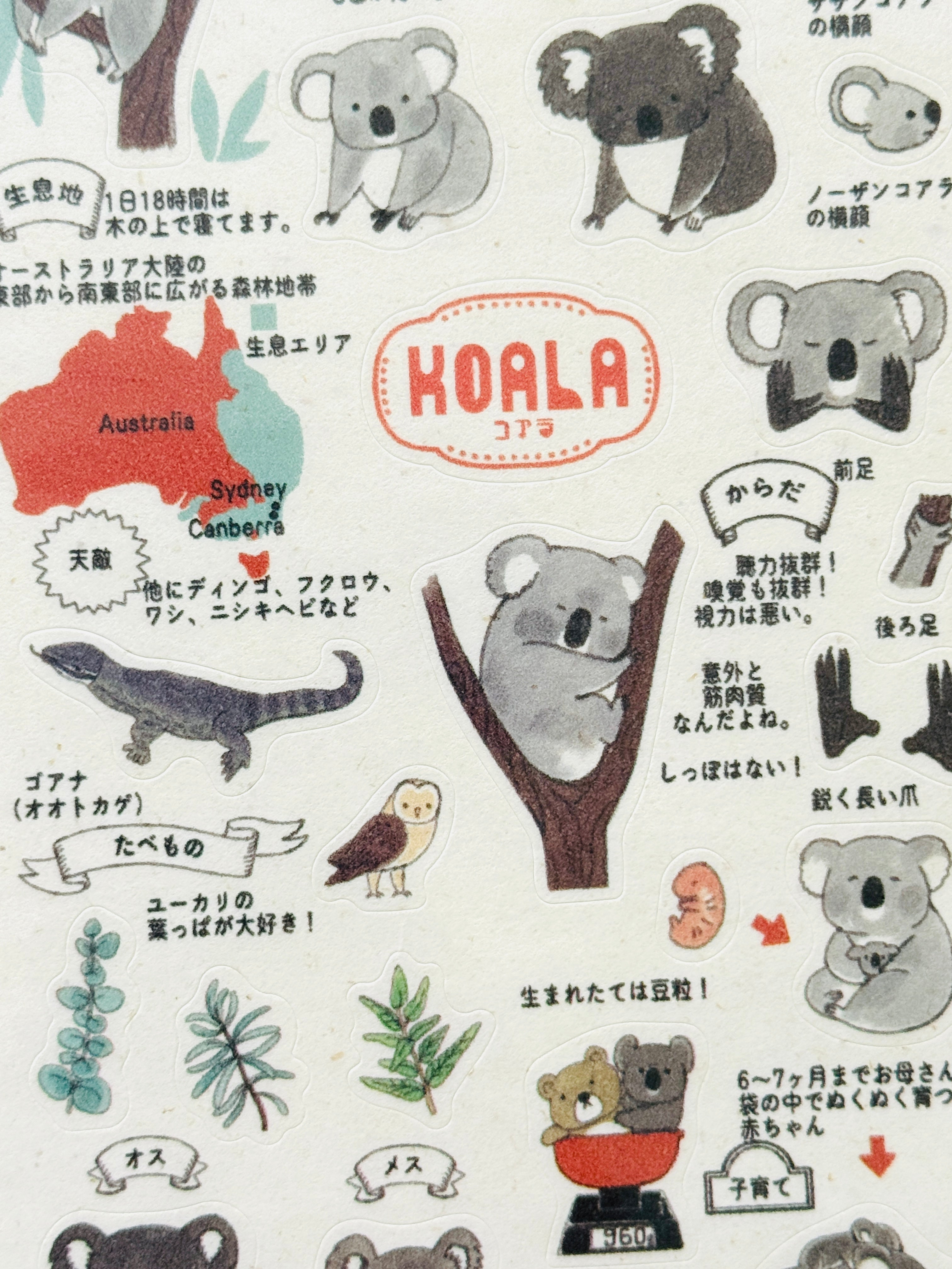 [SEAL-DO] Shinzi Katoh x Zoo Idol Collection: Koala sticker sheet