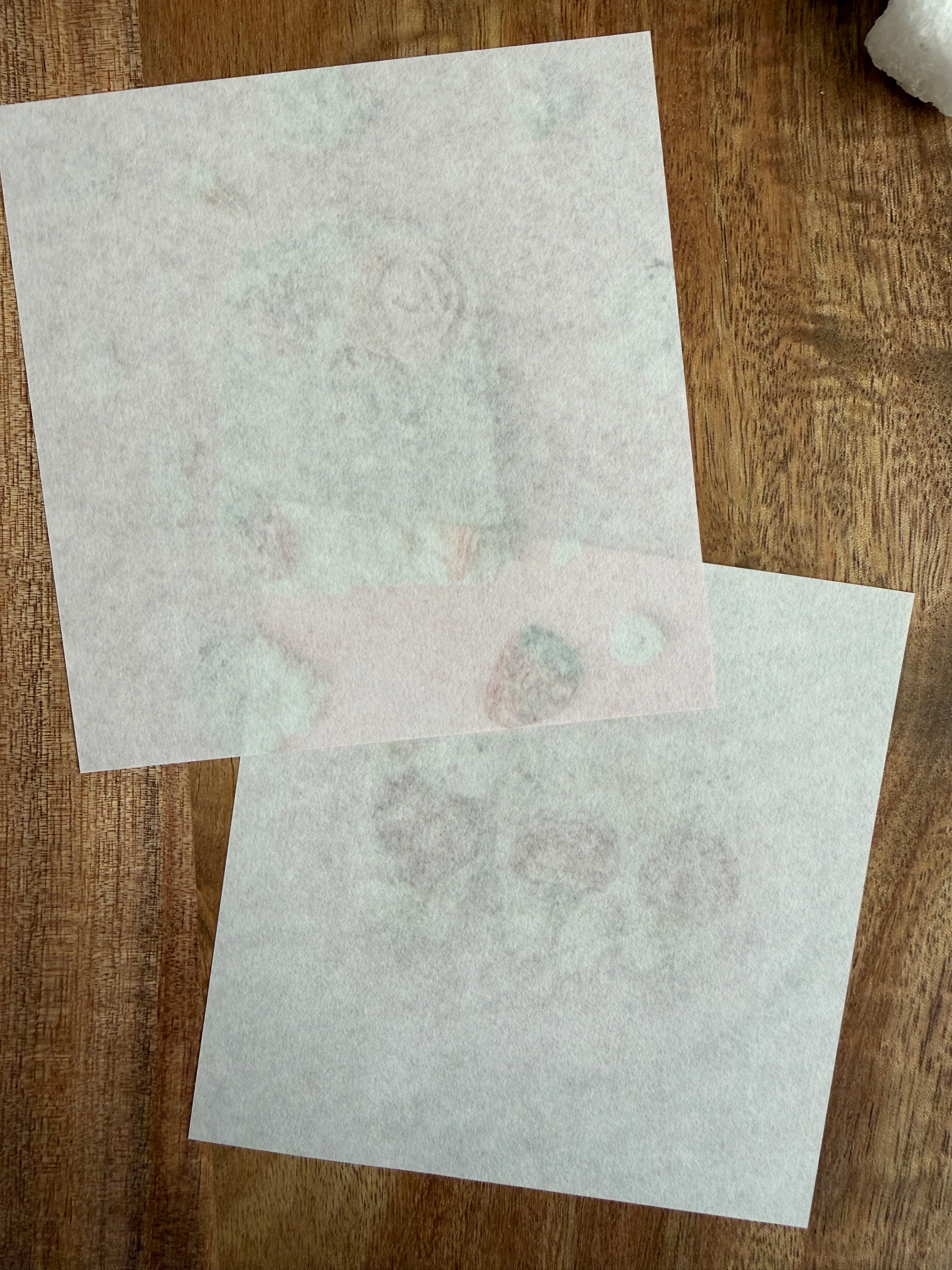 [Active Corporation] Chinatsu Higashi x Doggie Toast memo pad