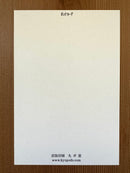 [Kyupodo] Turtle Taxi postcard