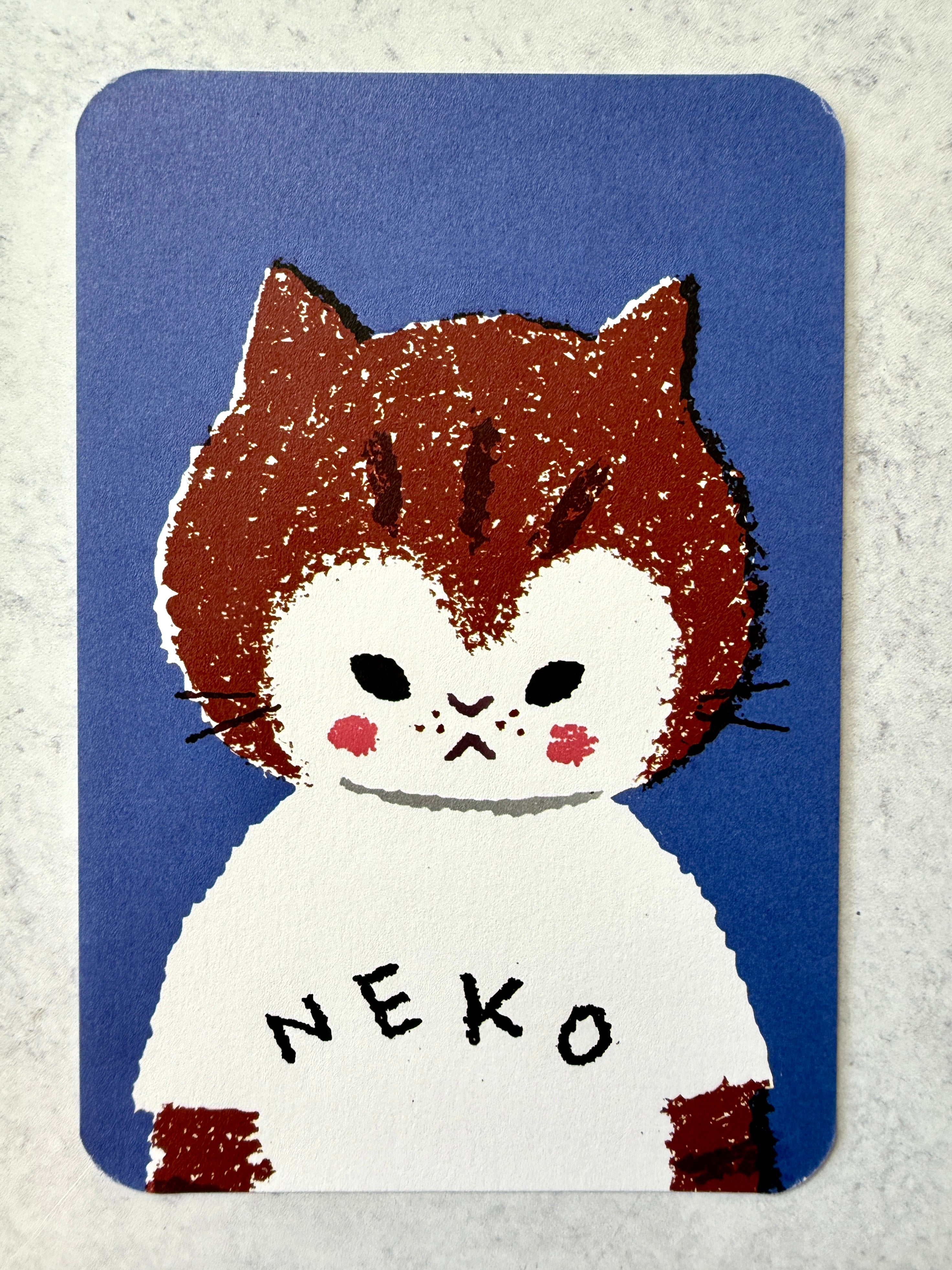[Tsubame Books] Neko Boy postcard