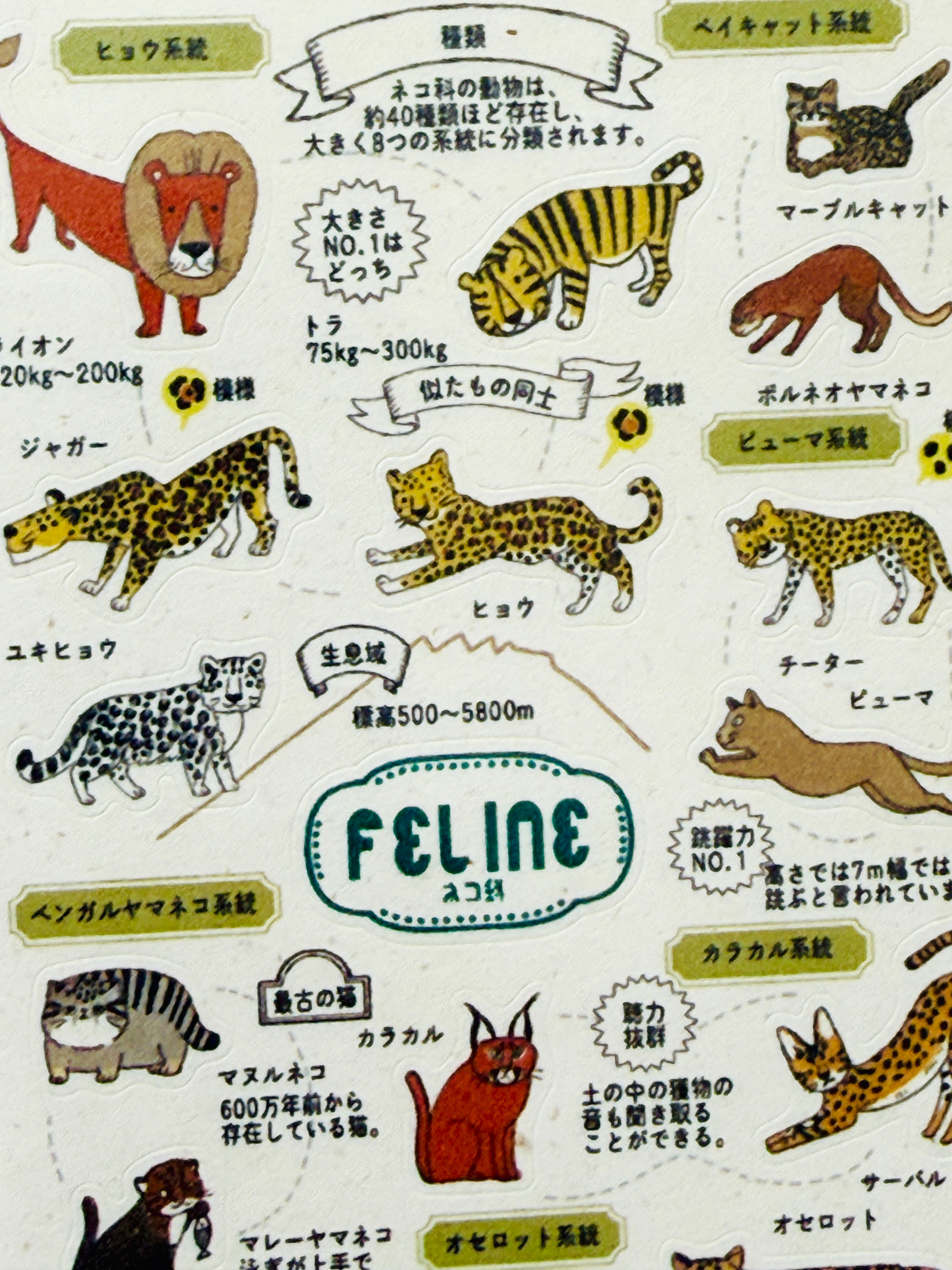 [SEAL-DO] Shinzi Katoh x Zoo Idol Collection: Feline sticker sheet