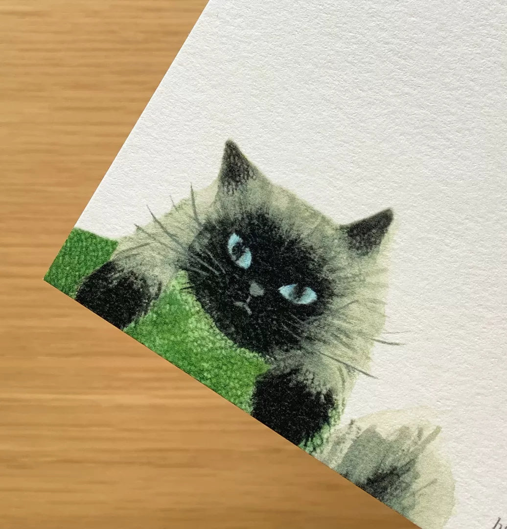 [4legs] Me and My Cat postcard