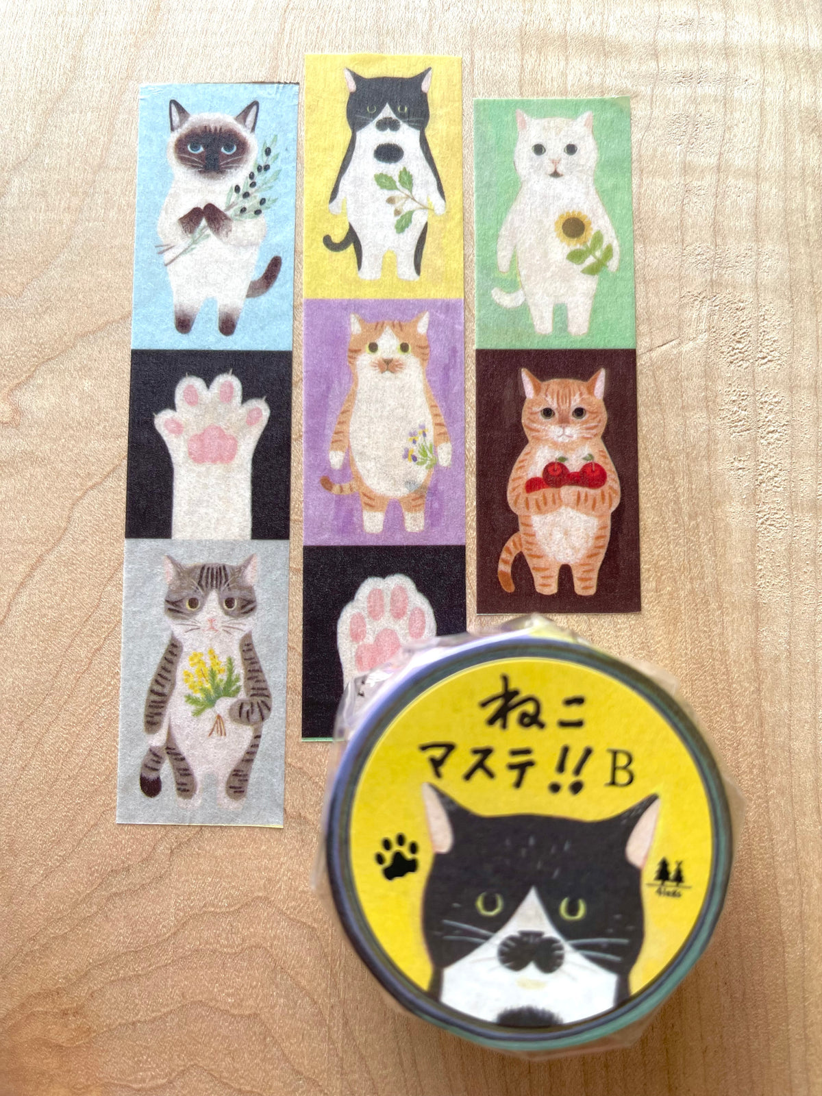 cat connection: Vertical Tape