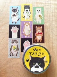 cat connection: Vertical Tape