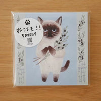[4legs] Siamese & Olive memo