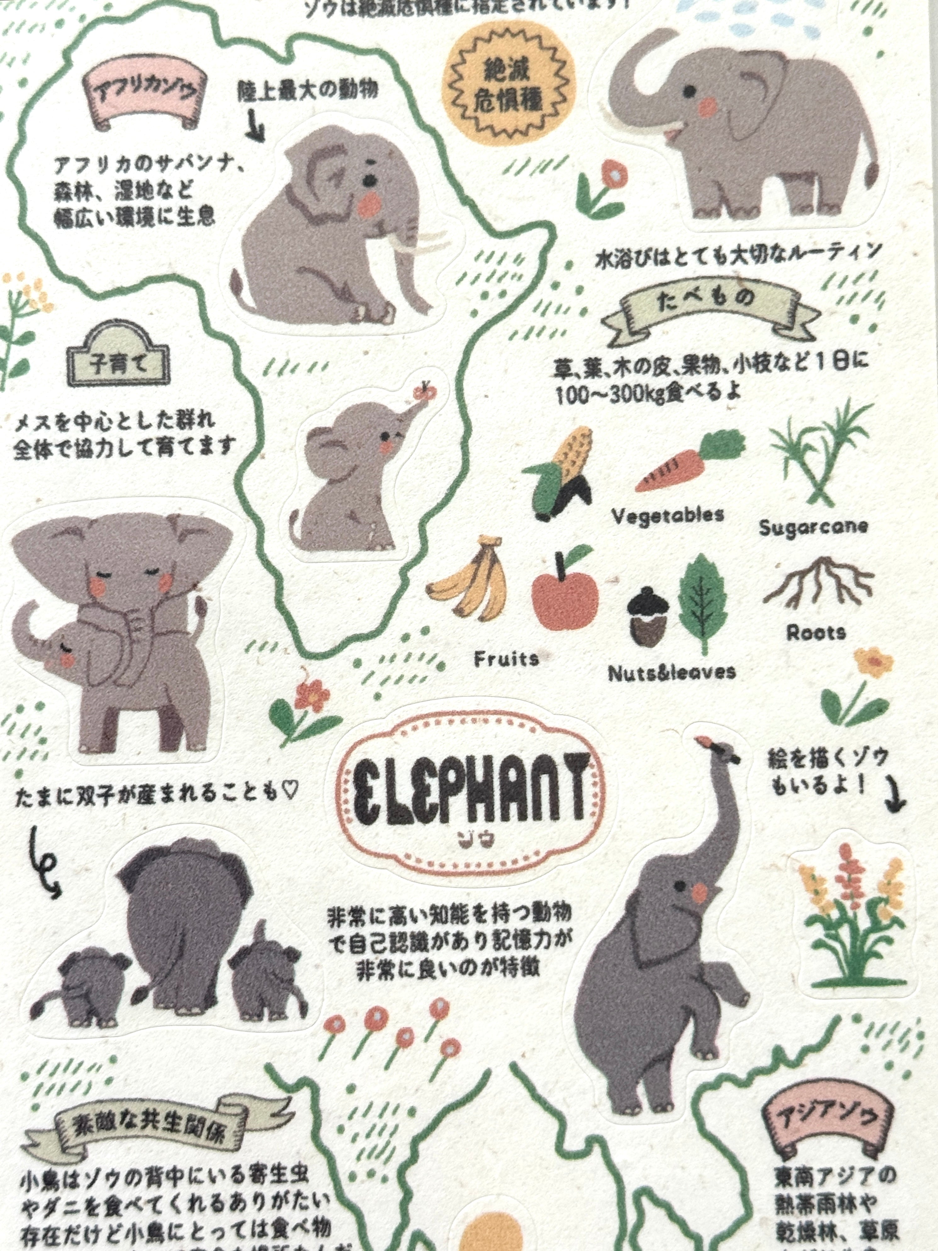 [SEAL-DO] Shinzi Katoh x Zoo Idol Collection: Elephant sticker sheet