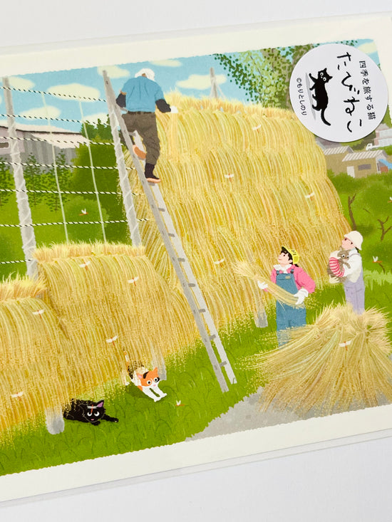 [Tabineko] Autumn Sun-Dry (2021) postcard x Toshinori Mori