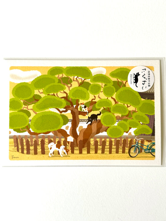 [Tabineko] On the Manju Tree (2018) postcard x Toshinori Mori