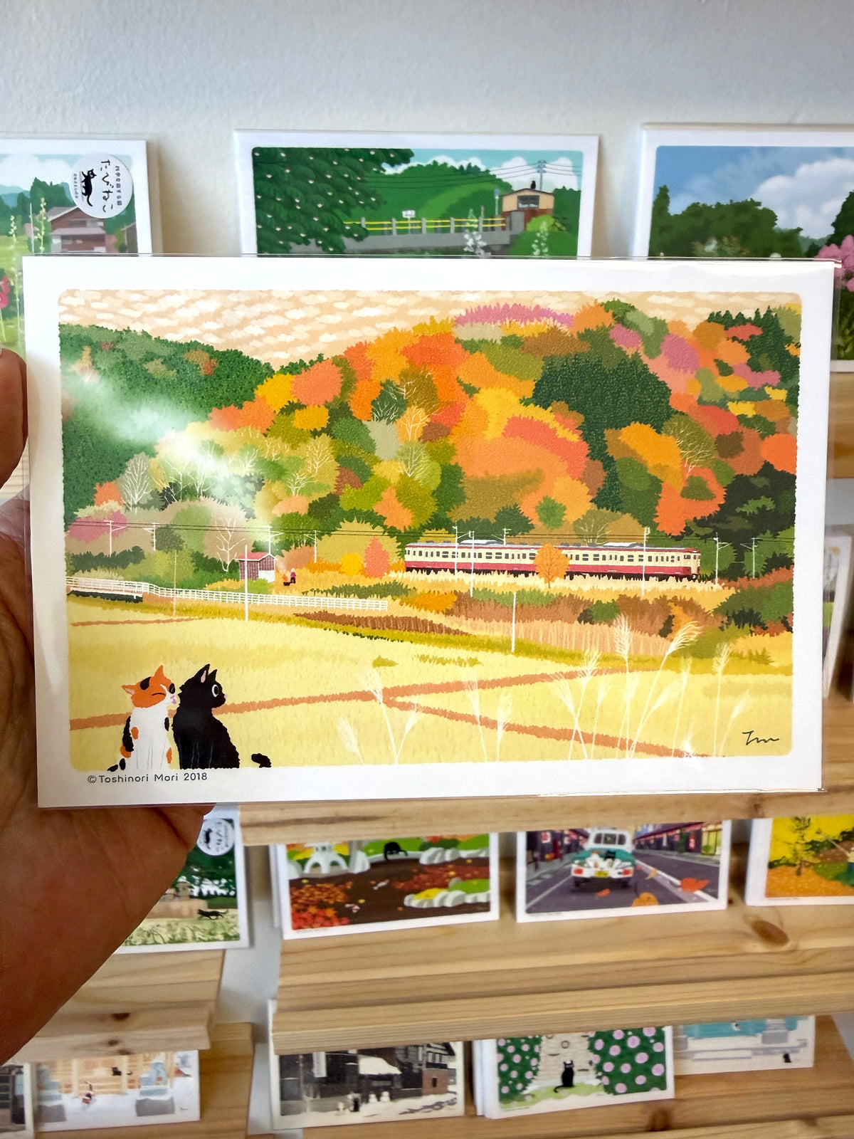 [Tabineko] Autumn Colors (2018) postcard x Toshinori Mori