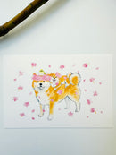 [Natsuka Murata] Shiba Inu & Cherry Blossoms with Friends postcard