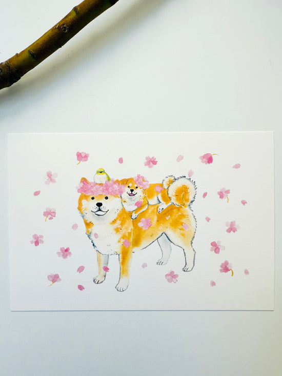 [Natsuka Murata] Shiba Inu & Cherry Blossoms with Friends postcard
