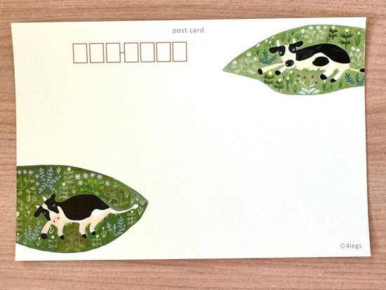 [4legs] Cow Grassland postcard