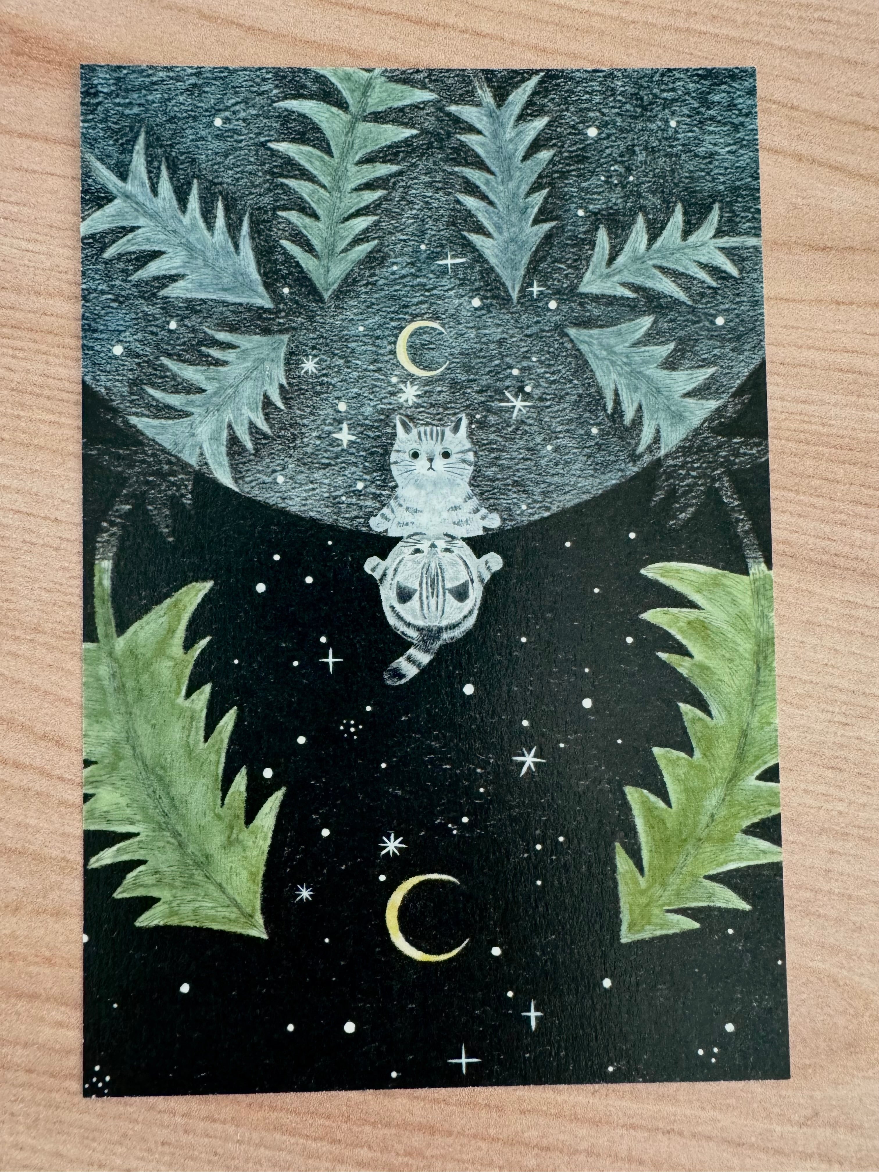 [4legs] Cat Seasons postcard