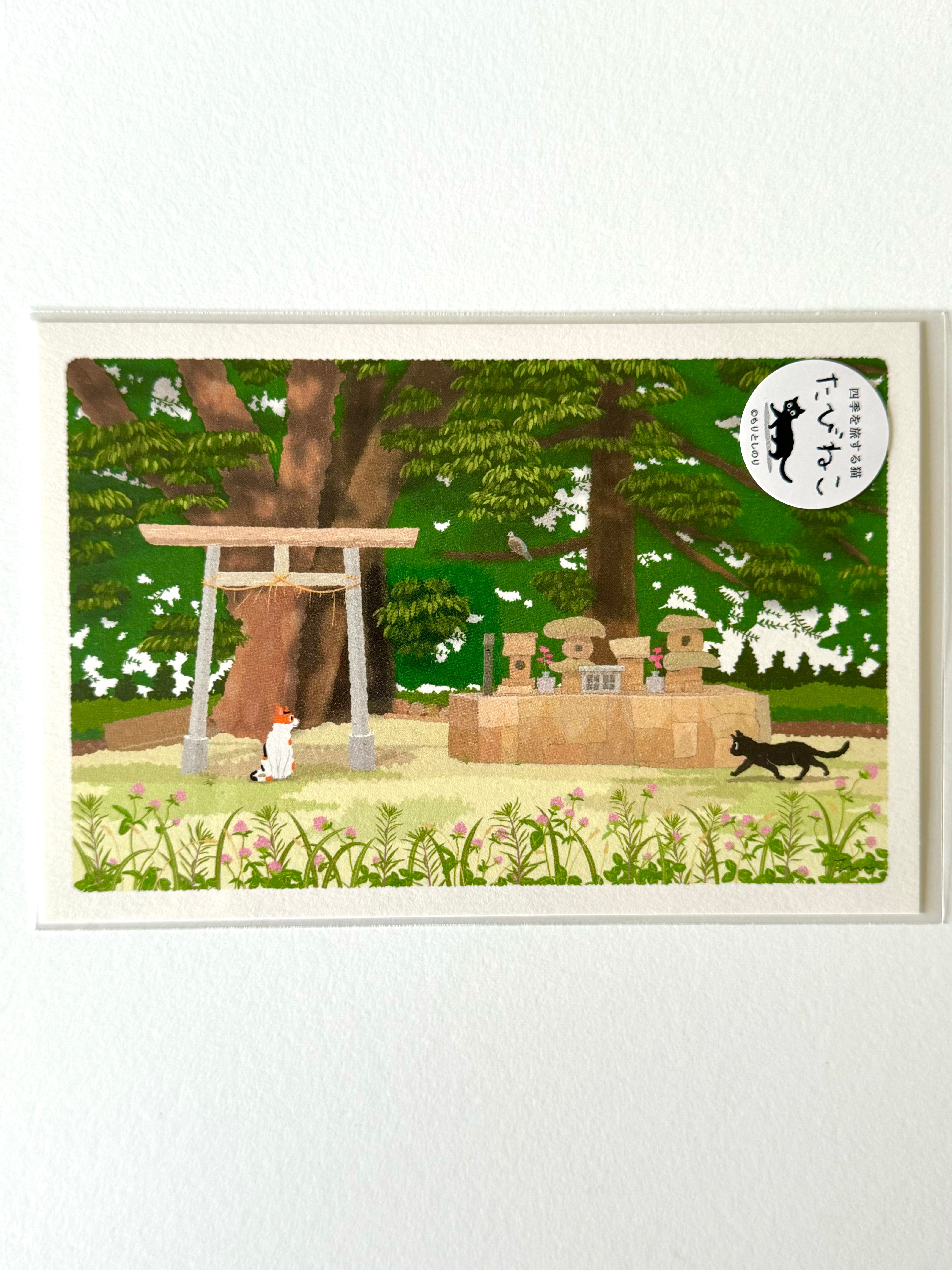 [Tabineko] The Promised Place (2017) postcard x Toshinori Mori (Active Corporation)