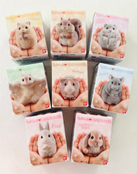 [Bandai] Mofu Mofu Tenori Friends Series 2 - Animals Figure Box (limited release • no restock)