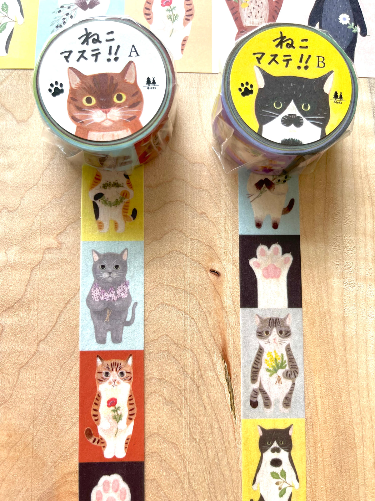 cat connection: Vertical Tape