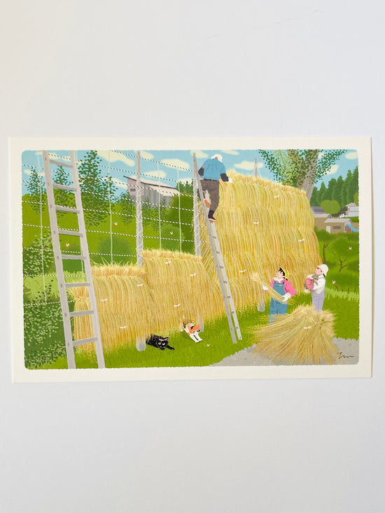 [Tabineko] Autumn Sun-Dry (2021) postcard x Toshinori Mori