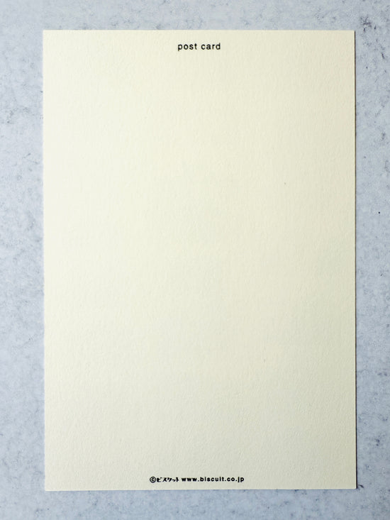 [Tsubame Books] Cameras postcard