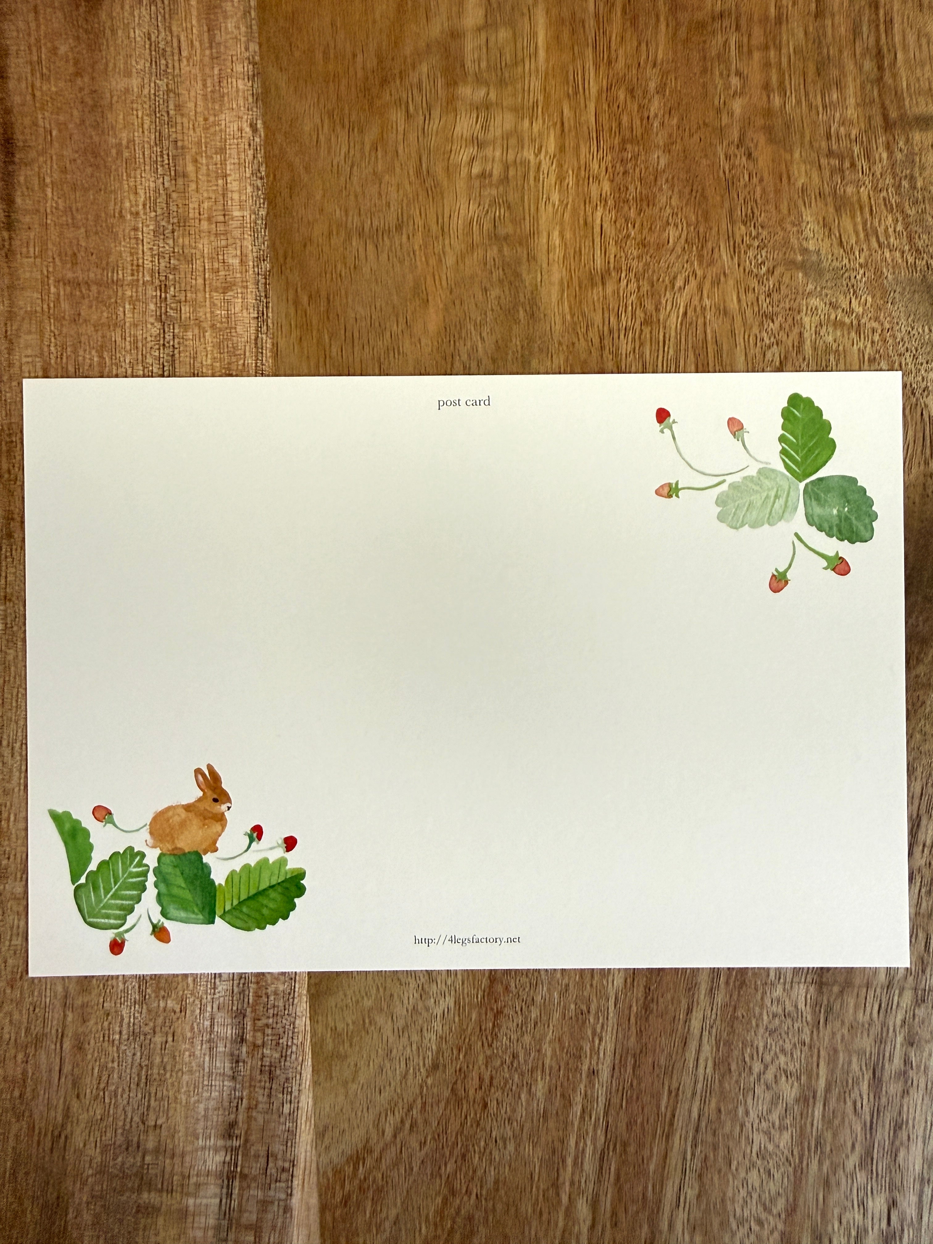 [4legs] Bunnies & Wild Strawberries postcard