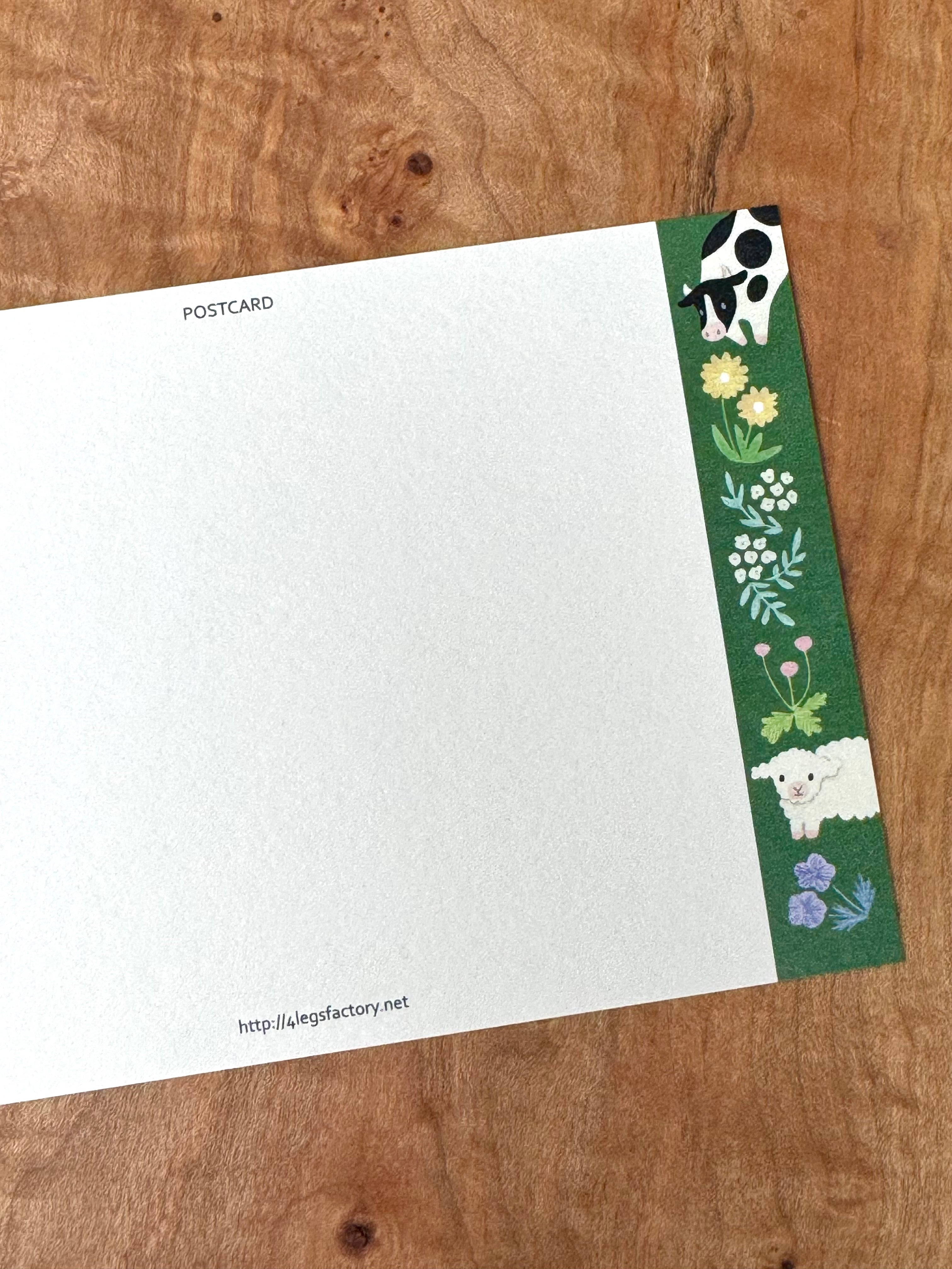 [4legs] Moo Milk Cat postcard