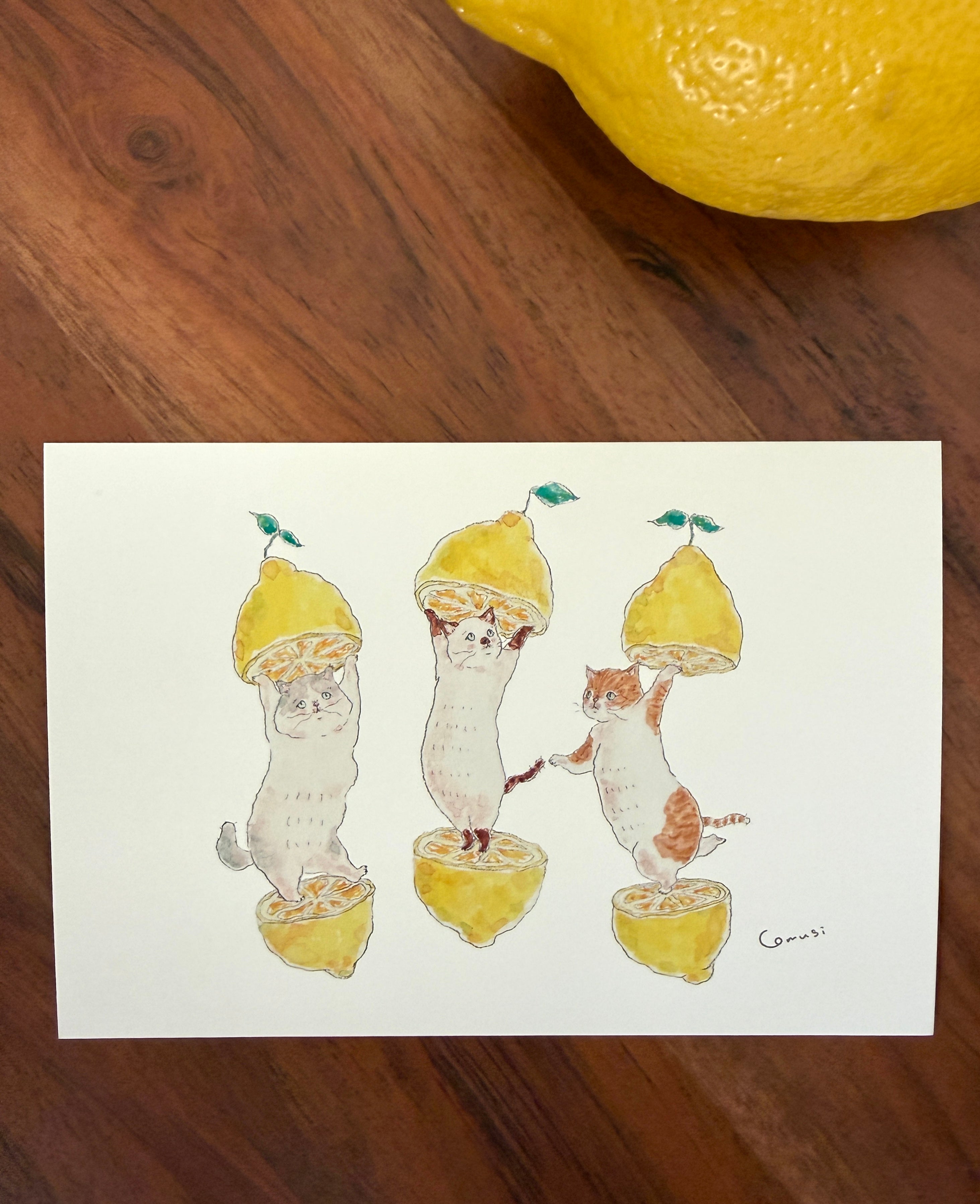 [TOCORO COMUGI] Lemon Squeezy Cats postcard