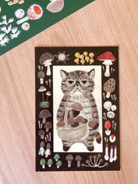 Exotic Shorthair & Mushrooms