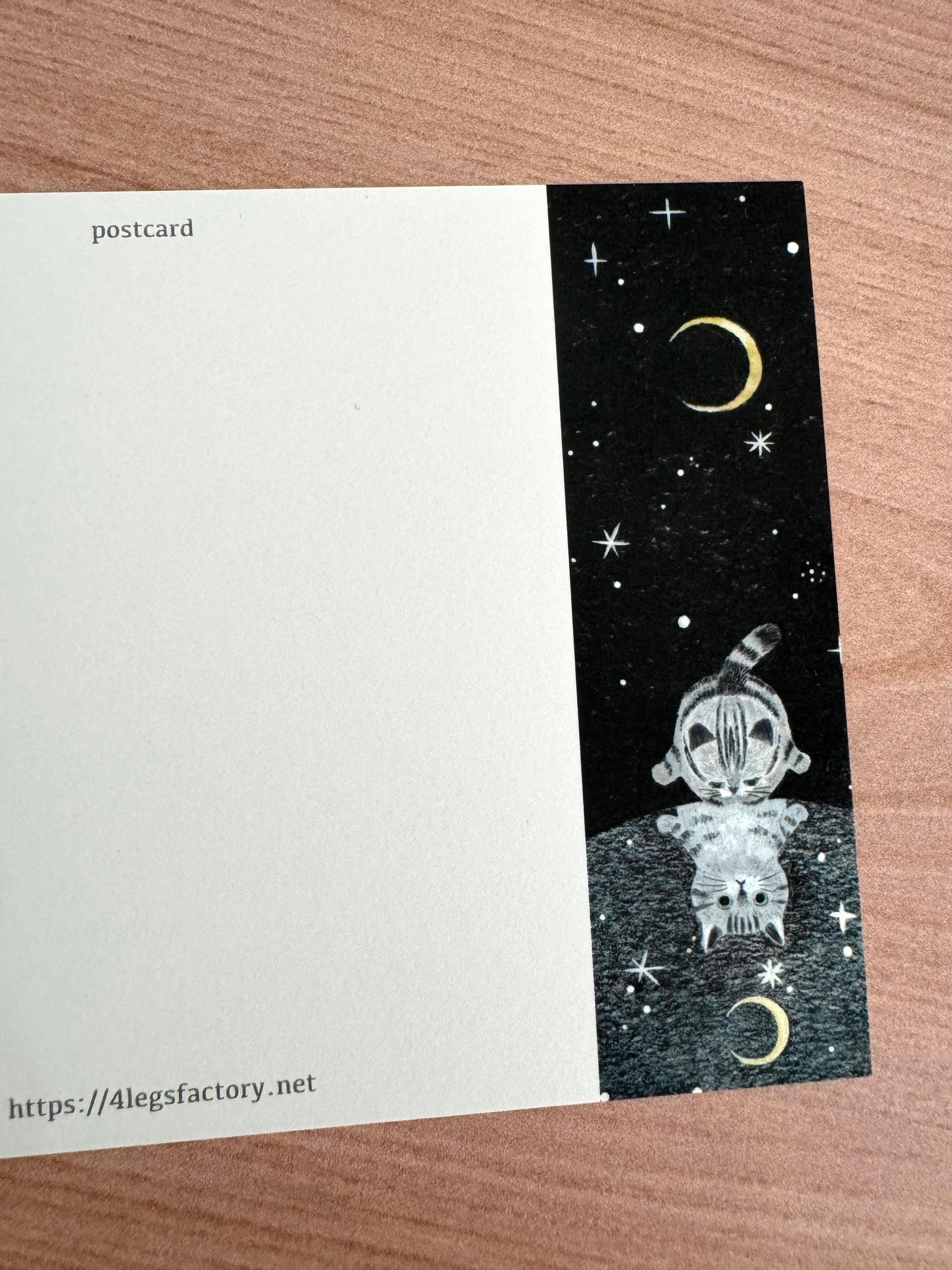 [4legs] Cat Seasons postcard