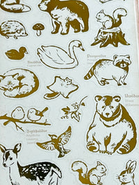 Forest Animals