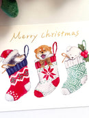[Natsuka Murata] Shiba Christmas Stockings postcard