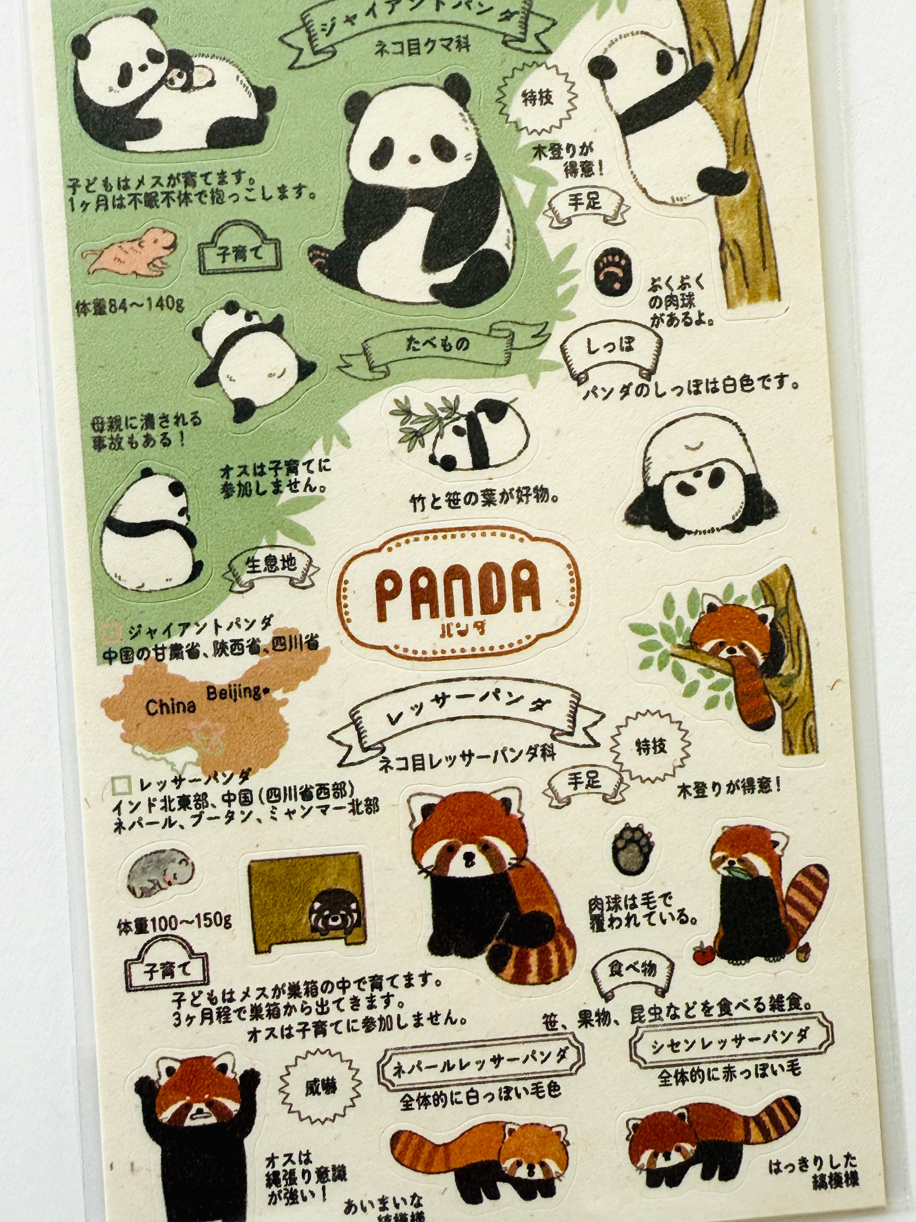 [SEAL-DO] Shinzi Katoh x Zoo Idol Collection: Panda sticker sheet