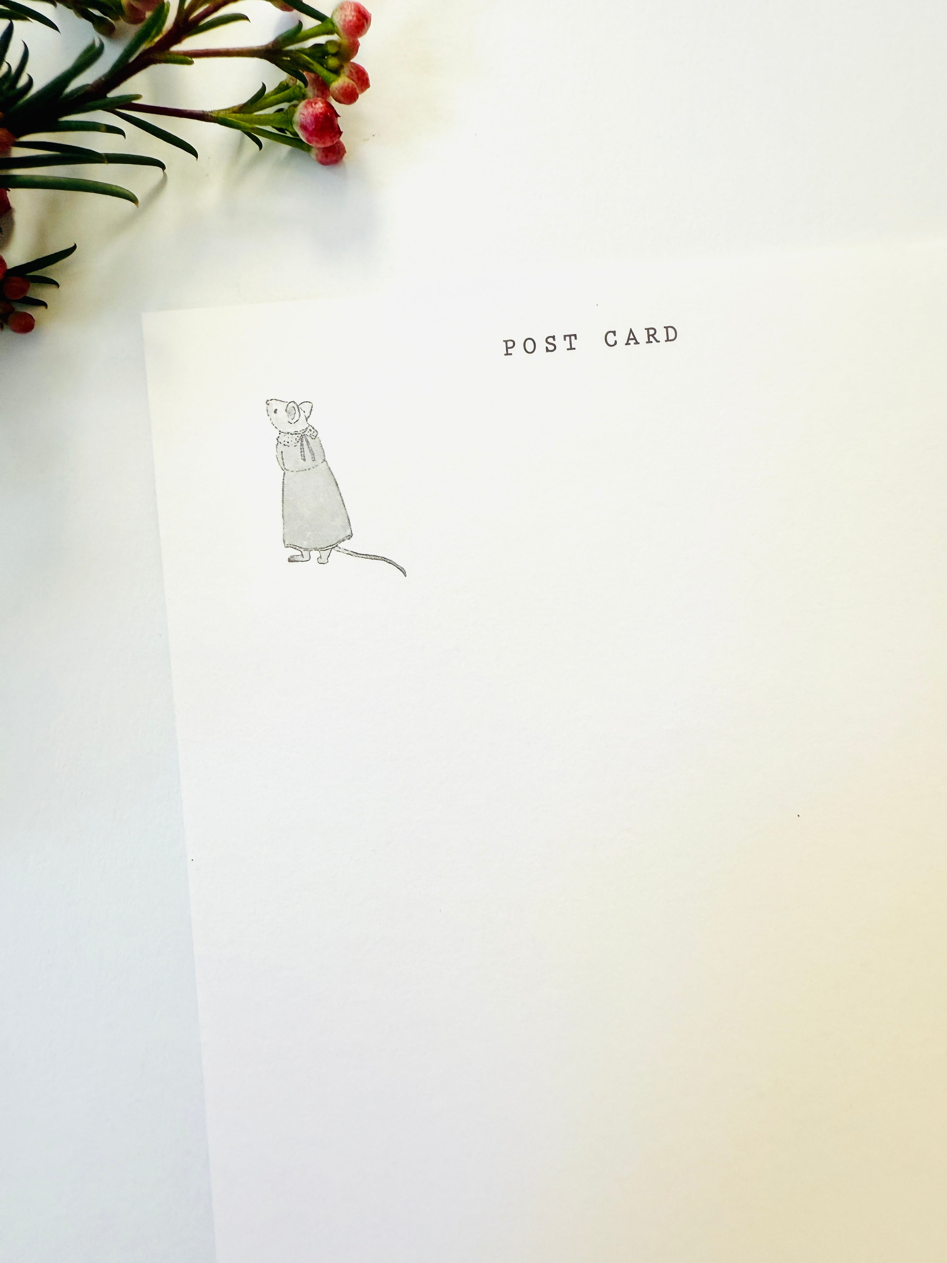 [Akane Kotoko] Cat Flower Shop in Spring postcard