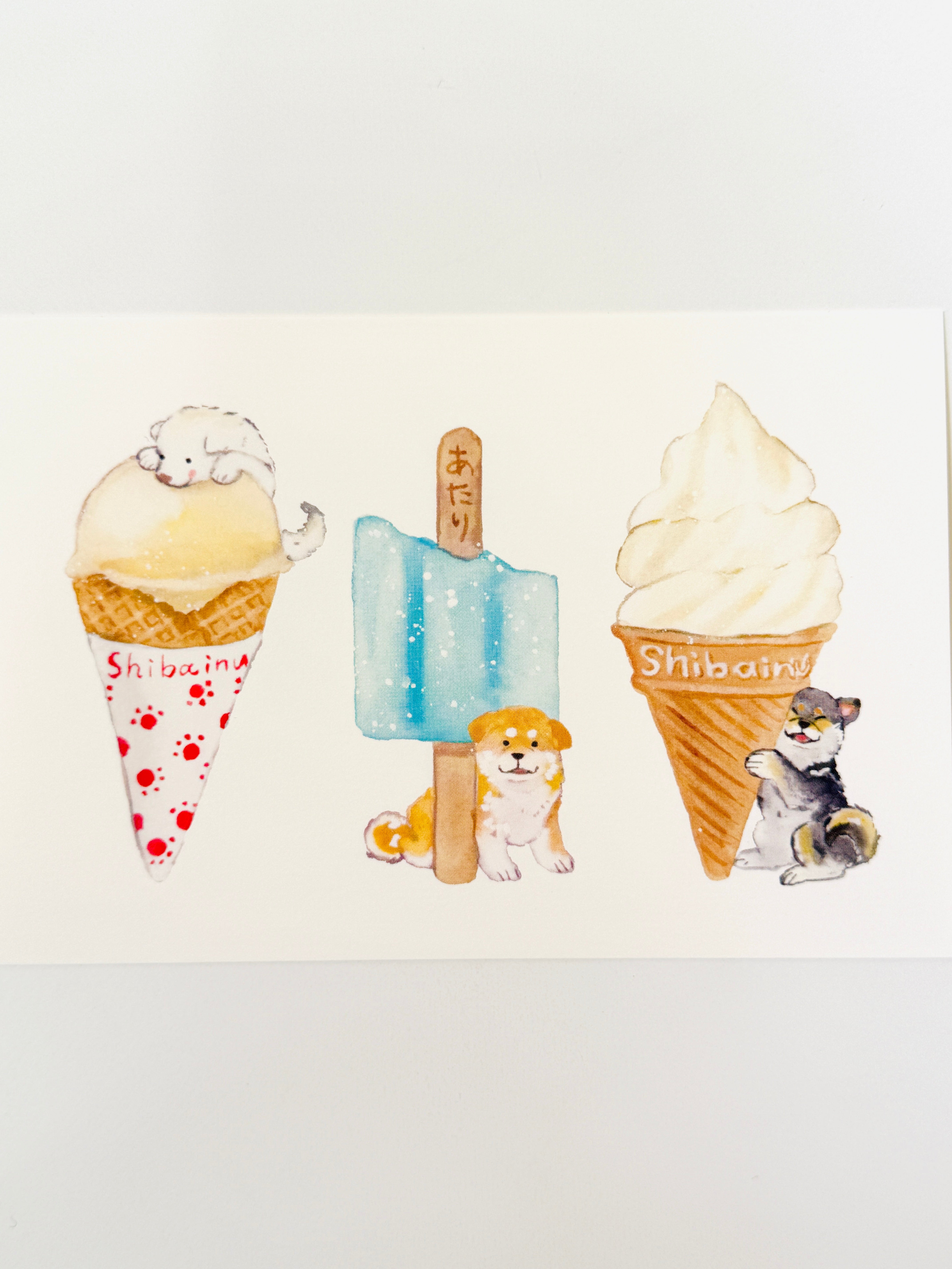 [Natsuka Murata] Shiba Favorite Ice Cream postcard