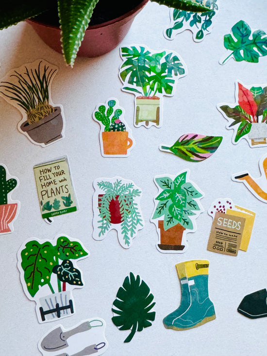 [Greeting Life] Succulent Plants 🪴 Delivery Box flake stickers