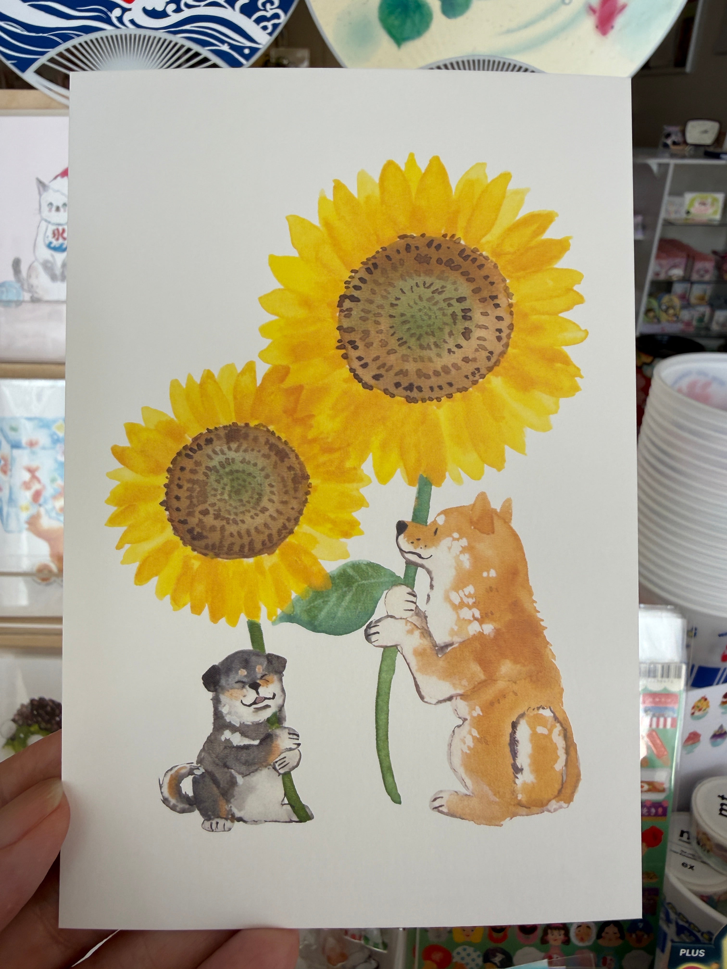 [Natsuka Murata] Shiba Inu & Sunflower postcard
