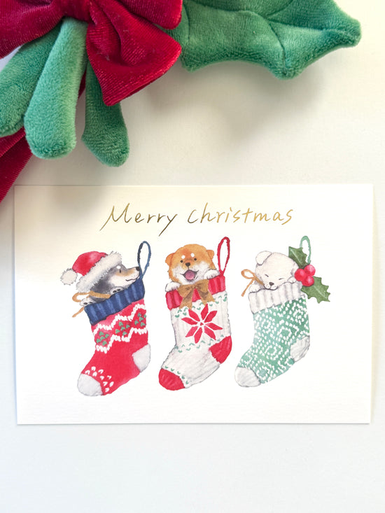 [Natsuka Murata] Shiba Christmas Stockings postcard