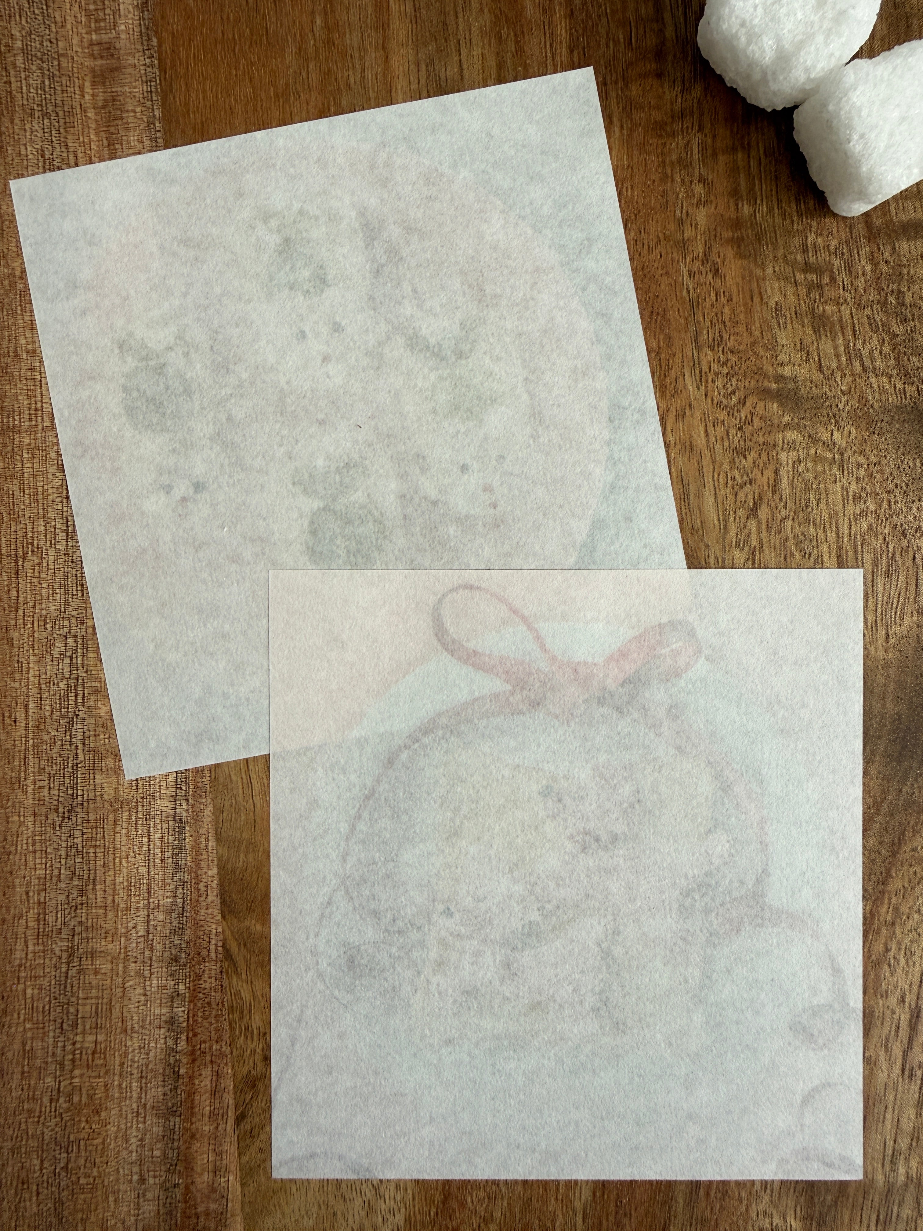 [Active Corporation] Chinatsu Higashi x Doggie Fruit Sando memo pad