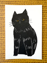 [Tsubame Books] Sam the Cat postcard