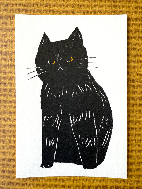 [Tsubame Books] Sam the Cat postcard